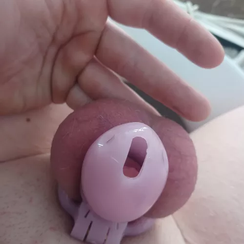 Last day in This chasty before my flat face chasity hehe