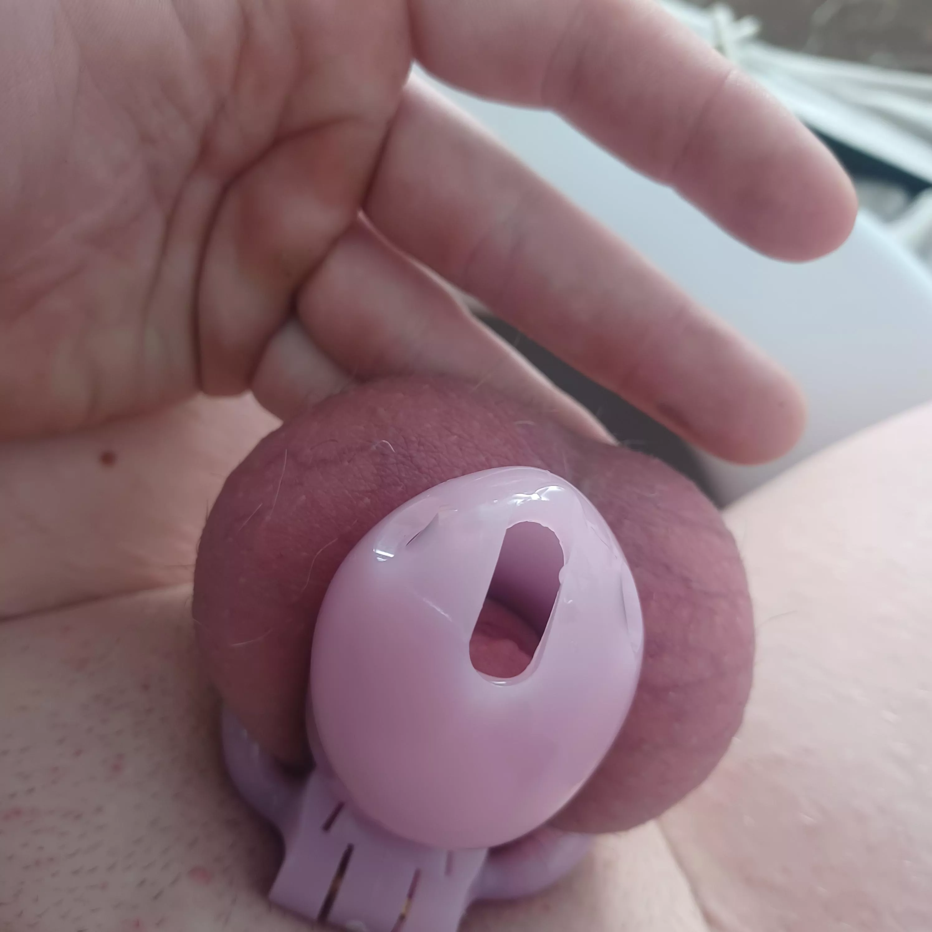 Last day in This chasty before my flat face chasity hehe