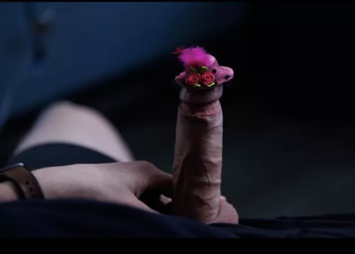 Little Lady V 💁‍♂️