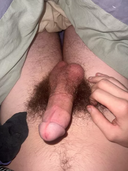 Love hairy cocks
