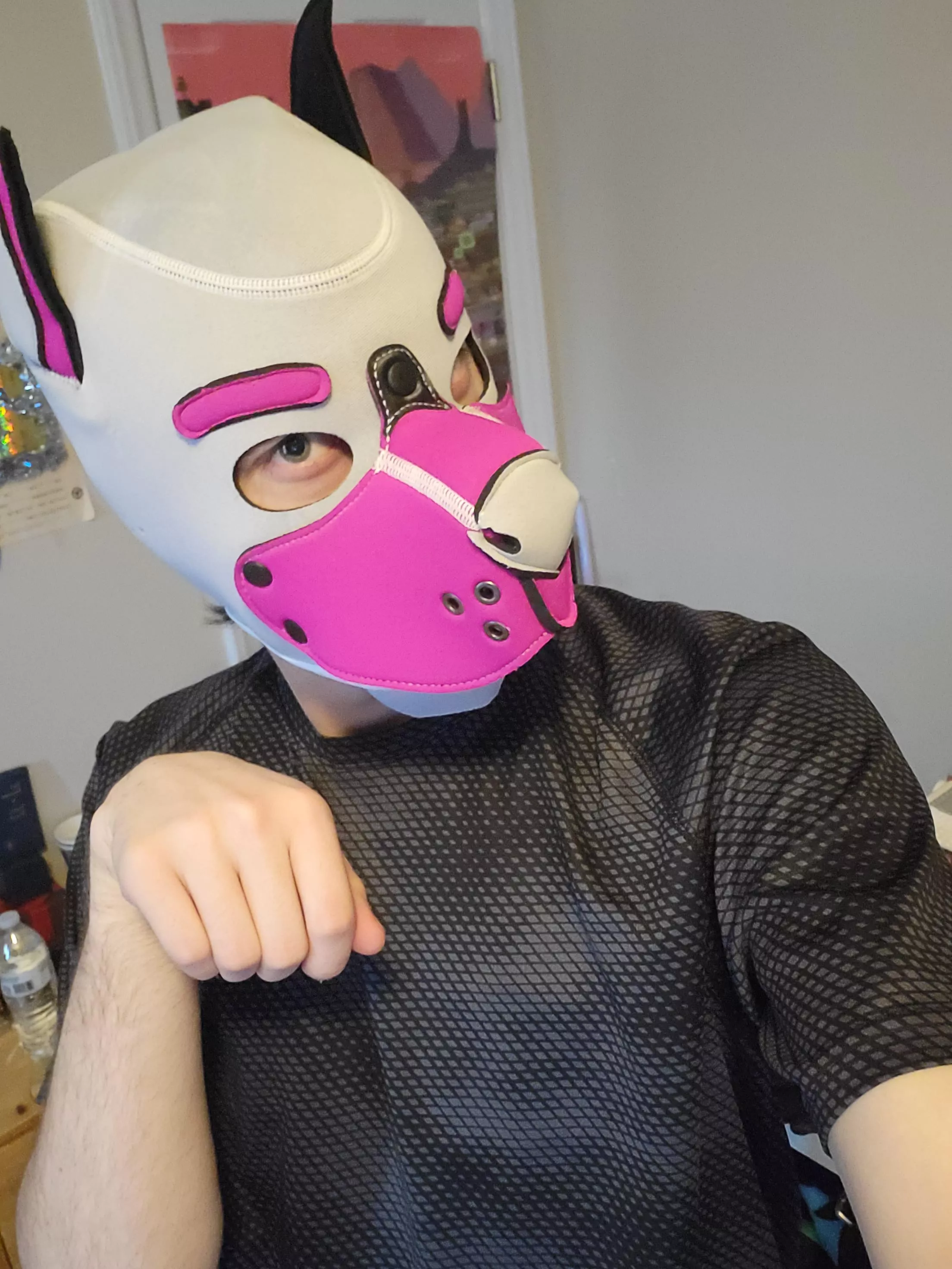 New pup mask