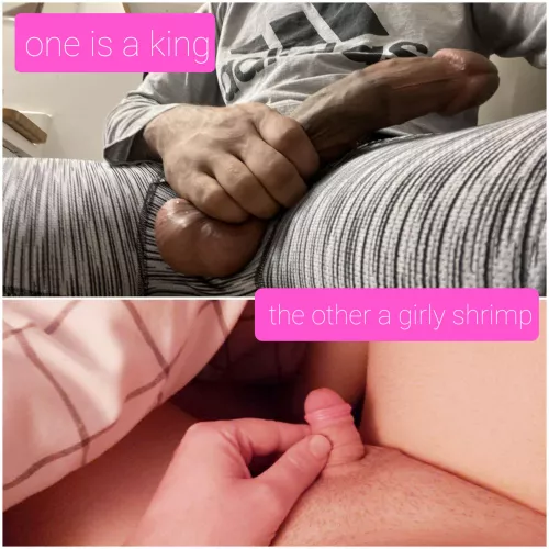 No comparison, right?