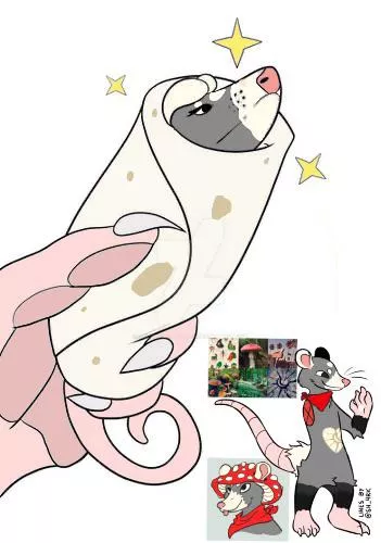 Possum as a opossum burrito