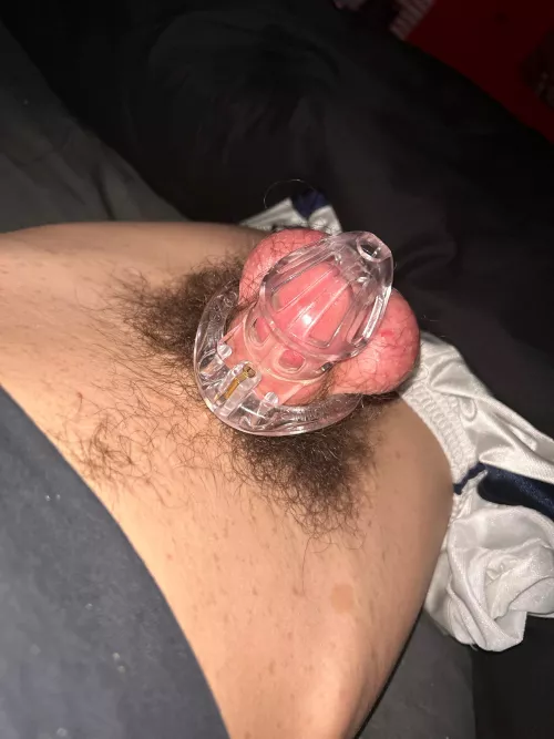 Ready to be broken in