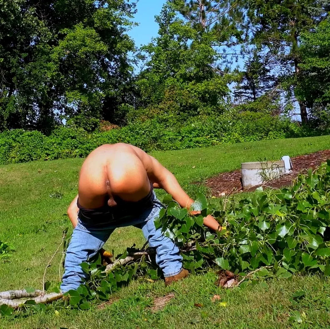 storm blew a bunch of big branches off the trees