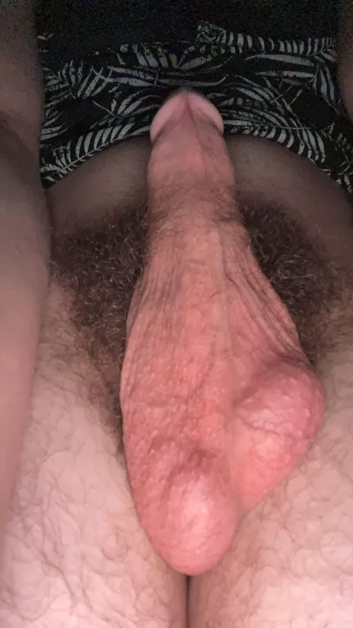 What are your thoughts?