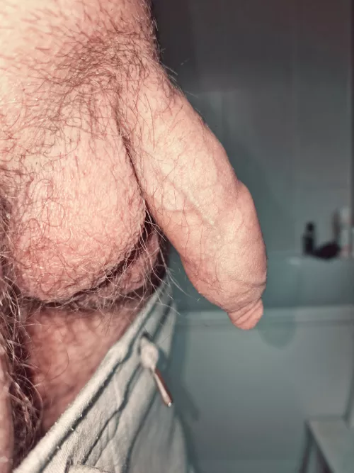 Would you lick my balls until I get hard?