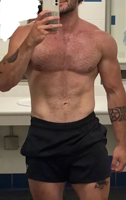 27M 6’4, fit, hung, experienced bull in western NC