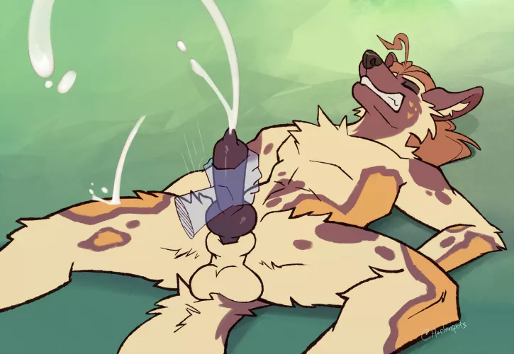 April Showers (harlem)