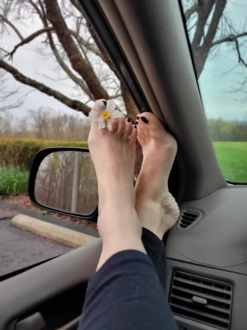 Awe thank you for the flower, I'm going to hold it here if that's ok :)