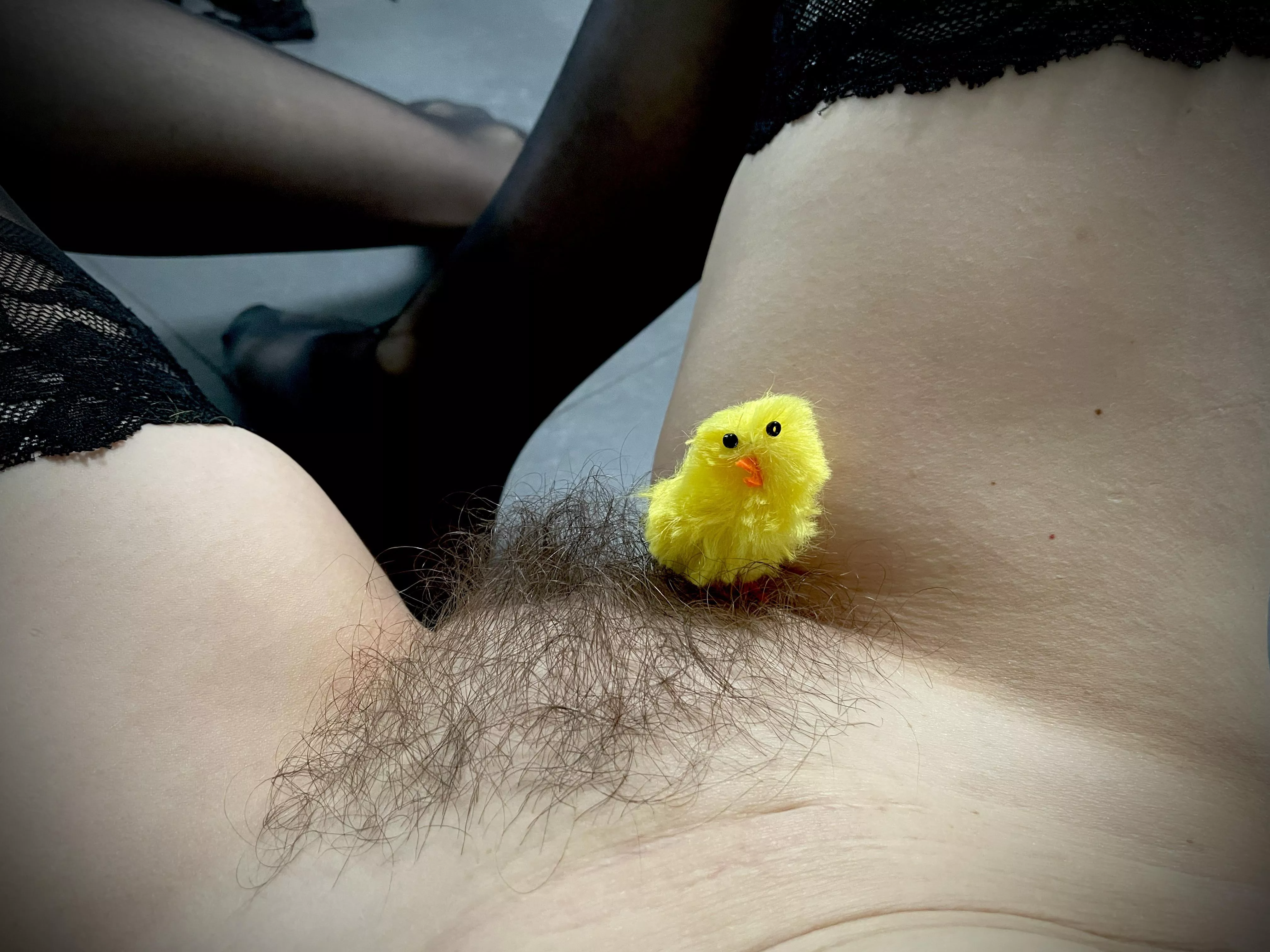 Been growing my own Easter grass for quite a while!