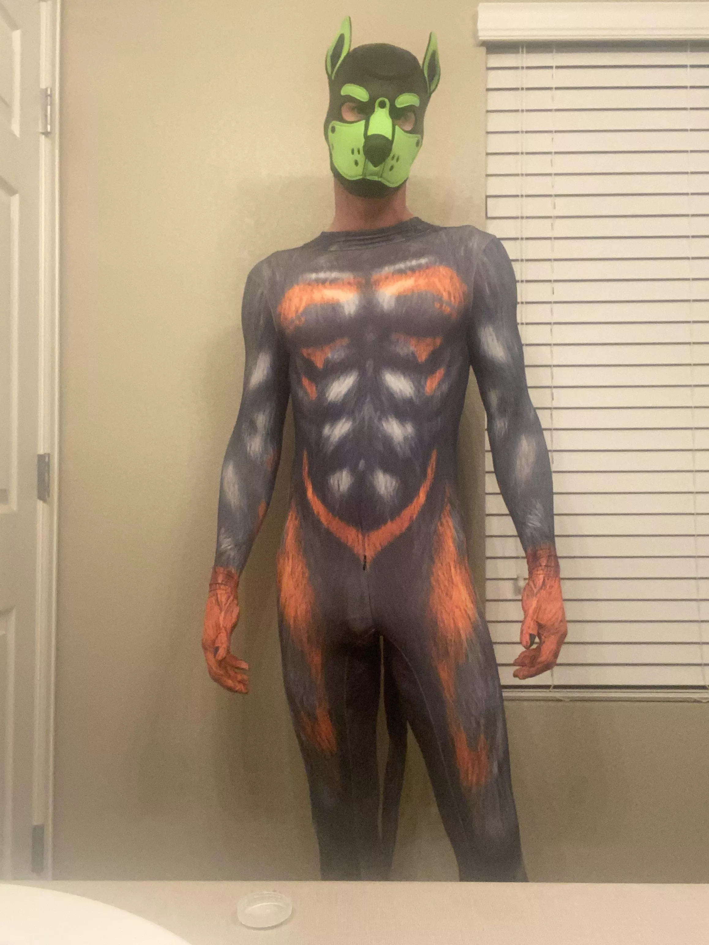 Body suit pup is on the prowl