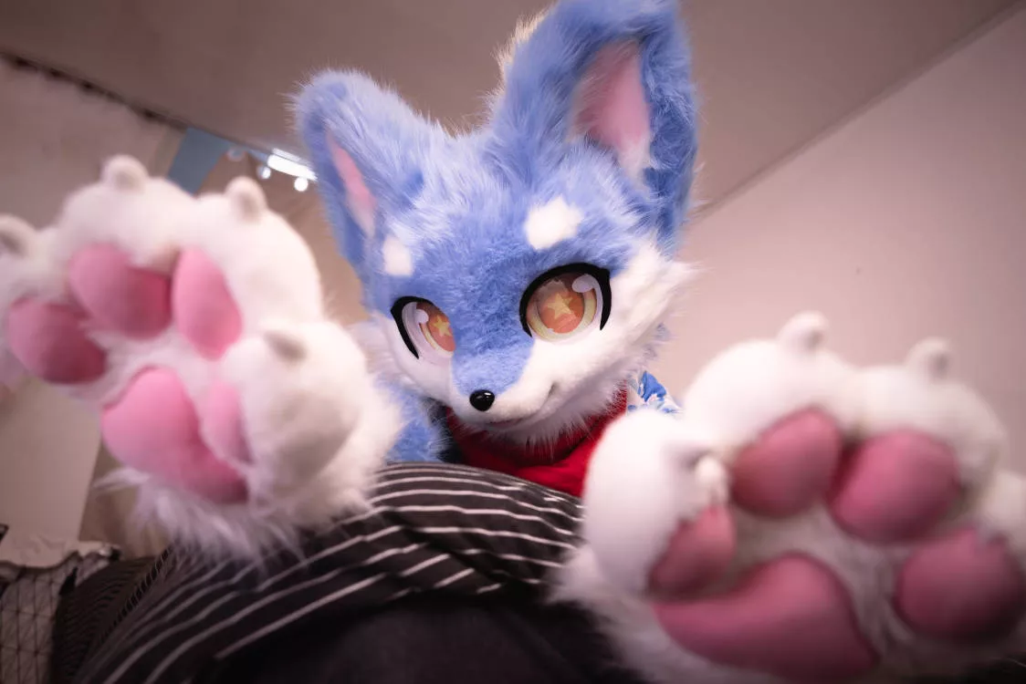 #FursuitFriday beans by MilkcandyQwQ on Bilibili
