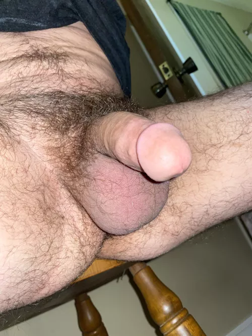 Haven’t trimmed in about a month, should I keep it growing??