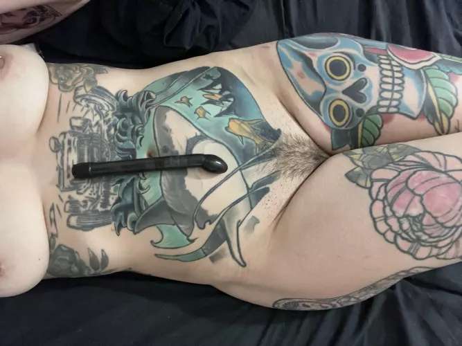 It’s coming in nicely don’t you think ?