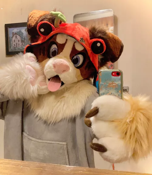 It's silly boy hours 🐶