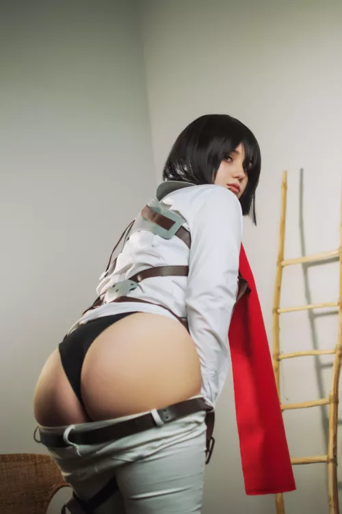 Mikasa by JyuSan