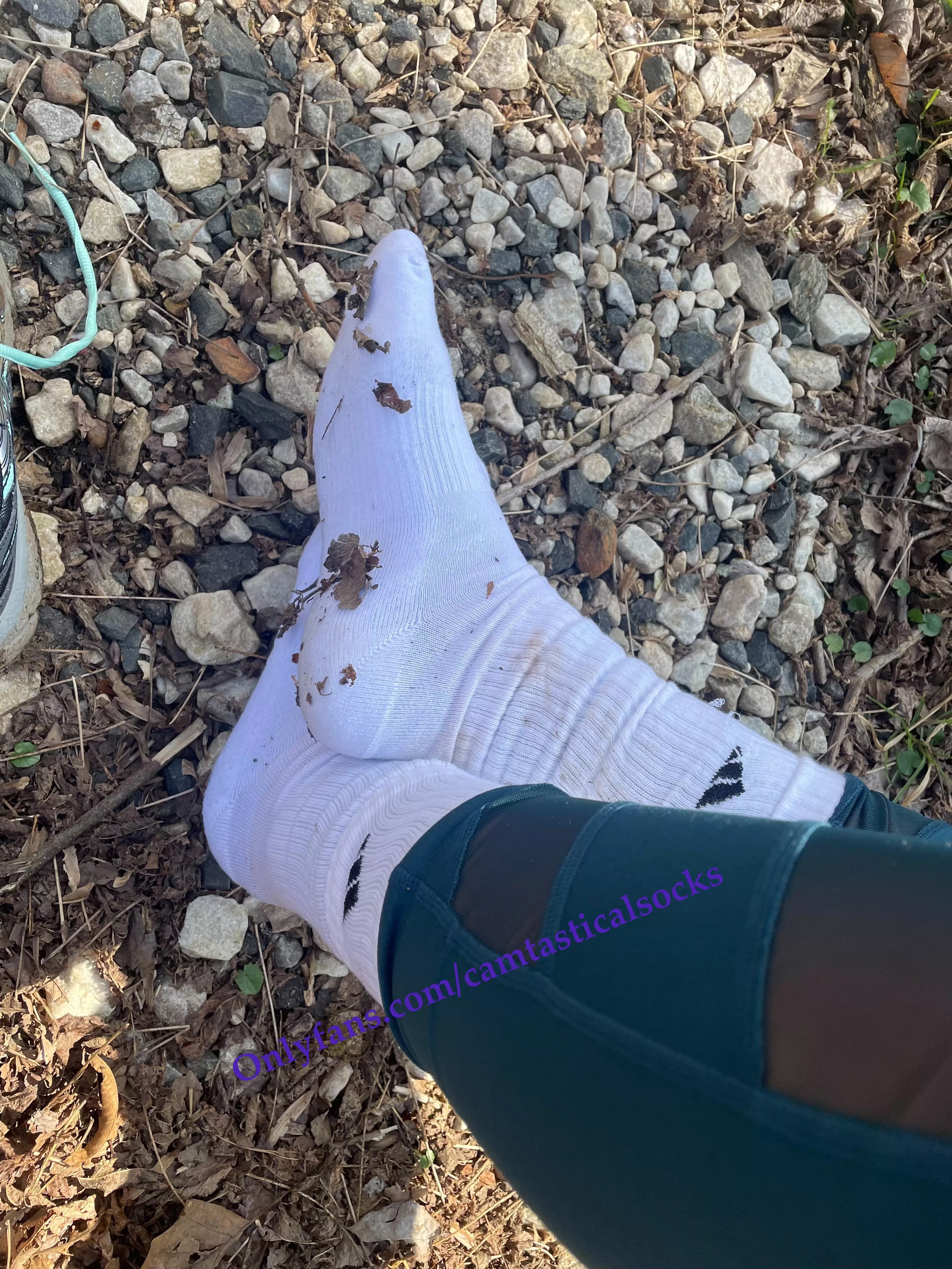 White Adidas Crew Socks