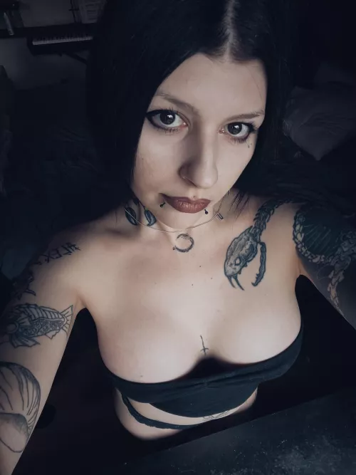 Would you fuck my face?