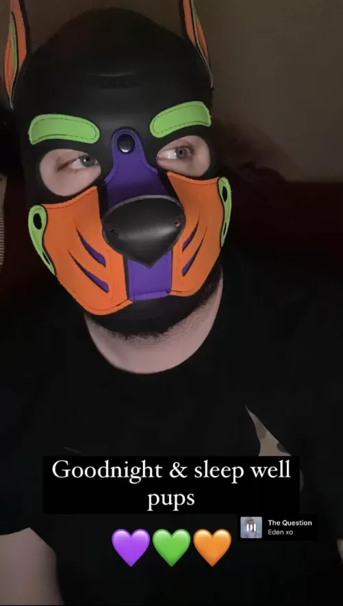 Wruff Wruff Looking for puppy friends