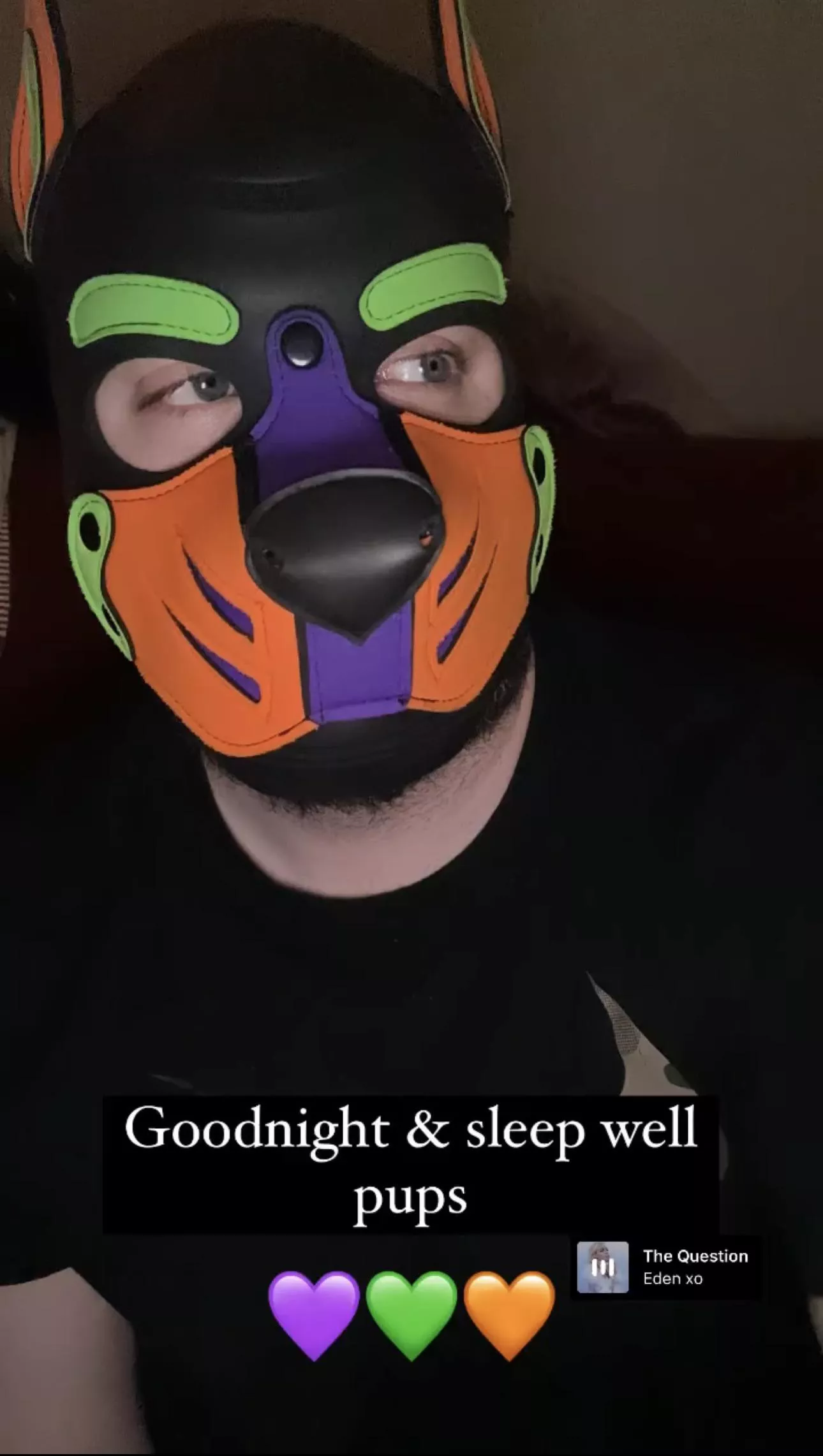 Wruff Wruff Looking for puppy friends