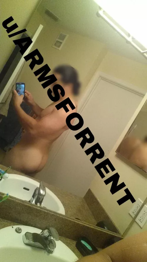 41M Respectful latino bull in Augusta GA