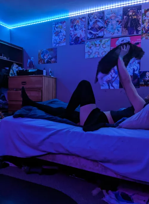 An hour late, but the kitty required attention. Blame her instead XP