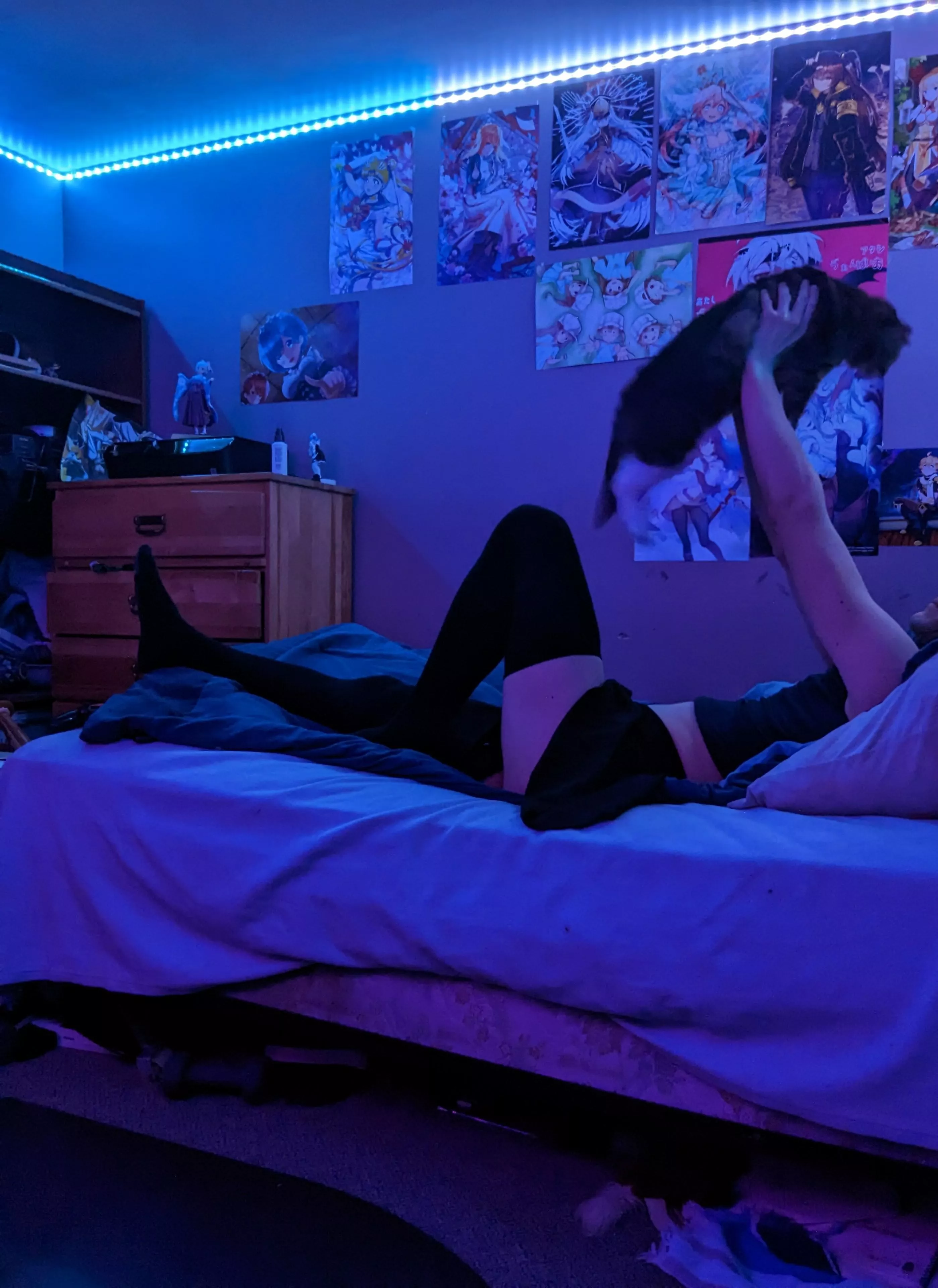 An hour late, but the kitty required attention. Blame her instead XP