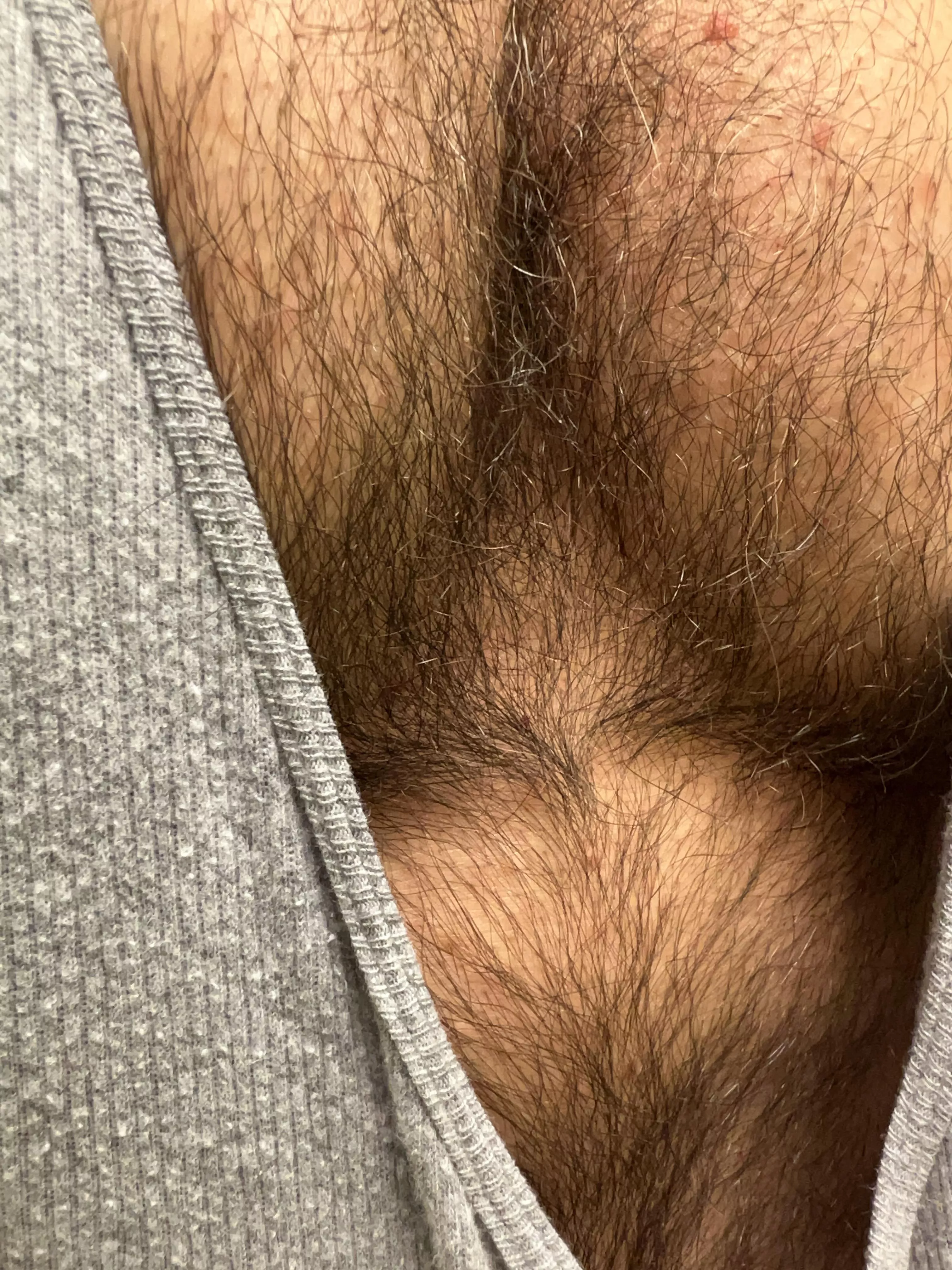 Dad’s furry pecs (47)