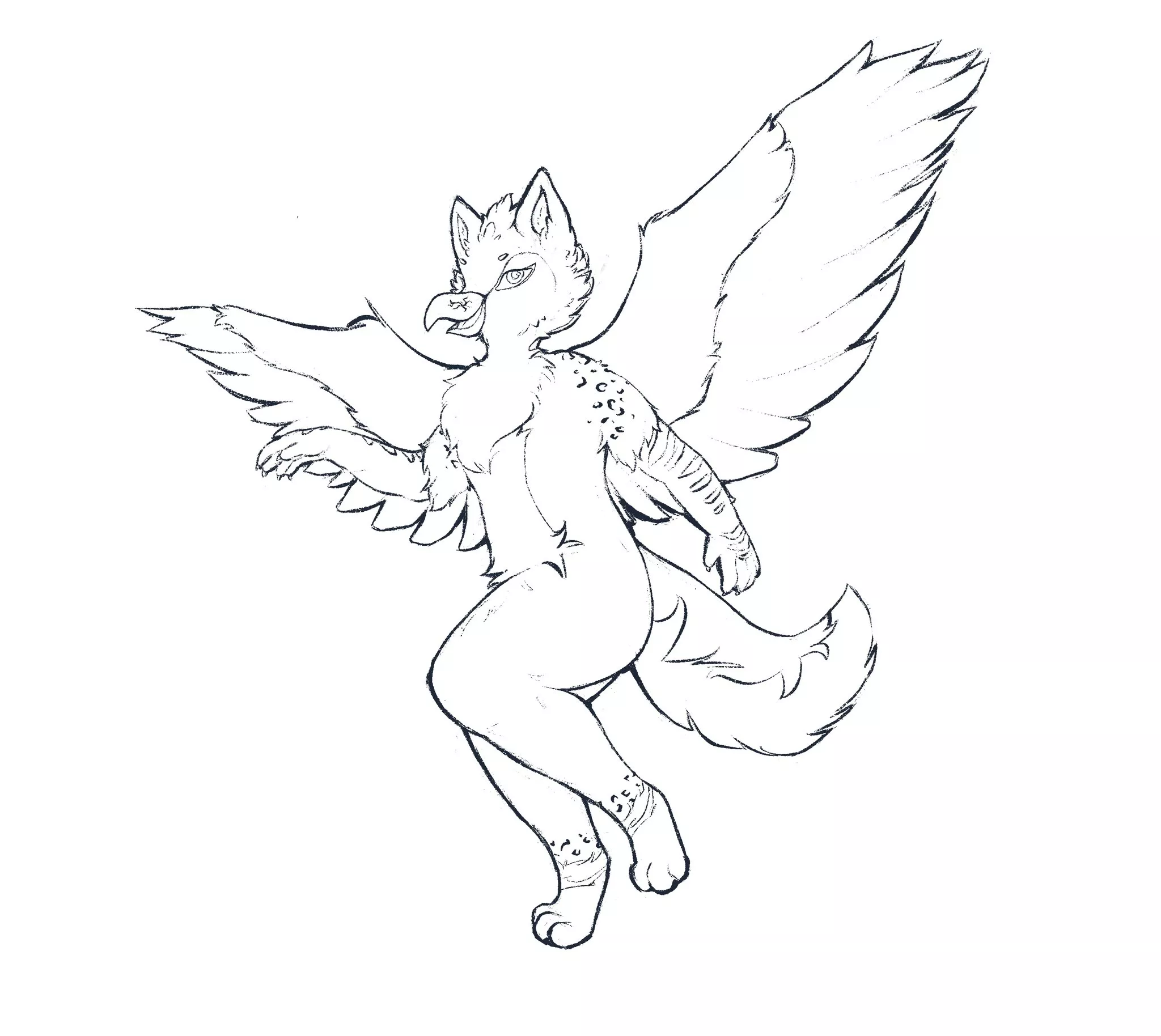 Gryphon! Wings are so fun to sketch