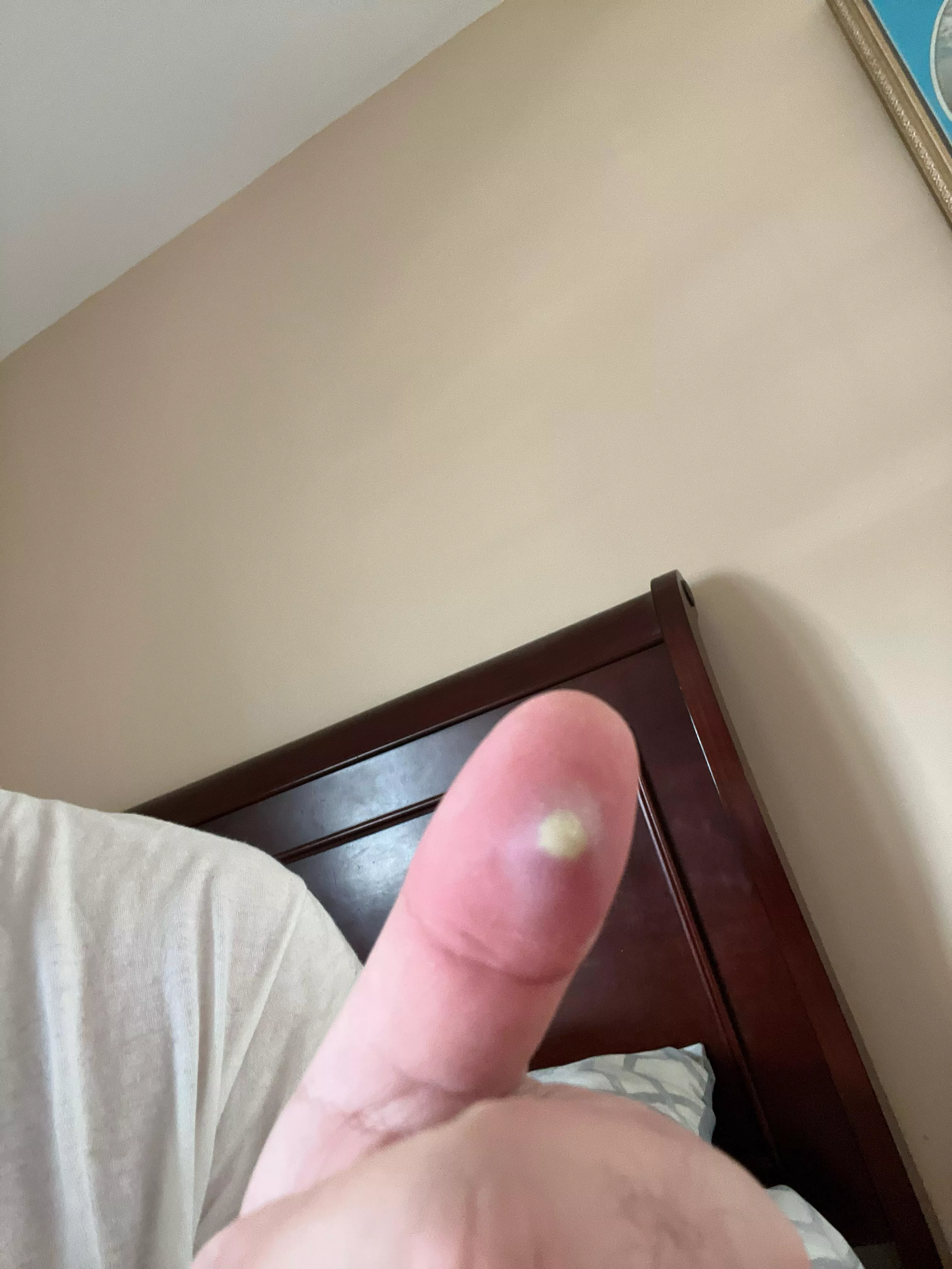 Help, not sure what to do.