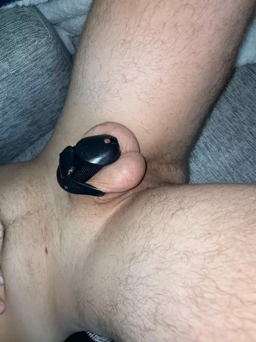 Is this where I belong? 🔒