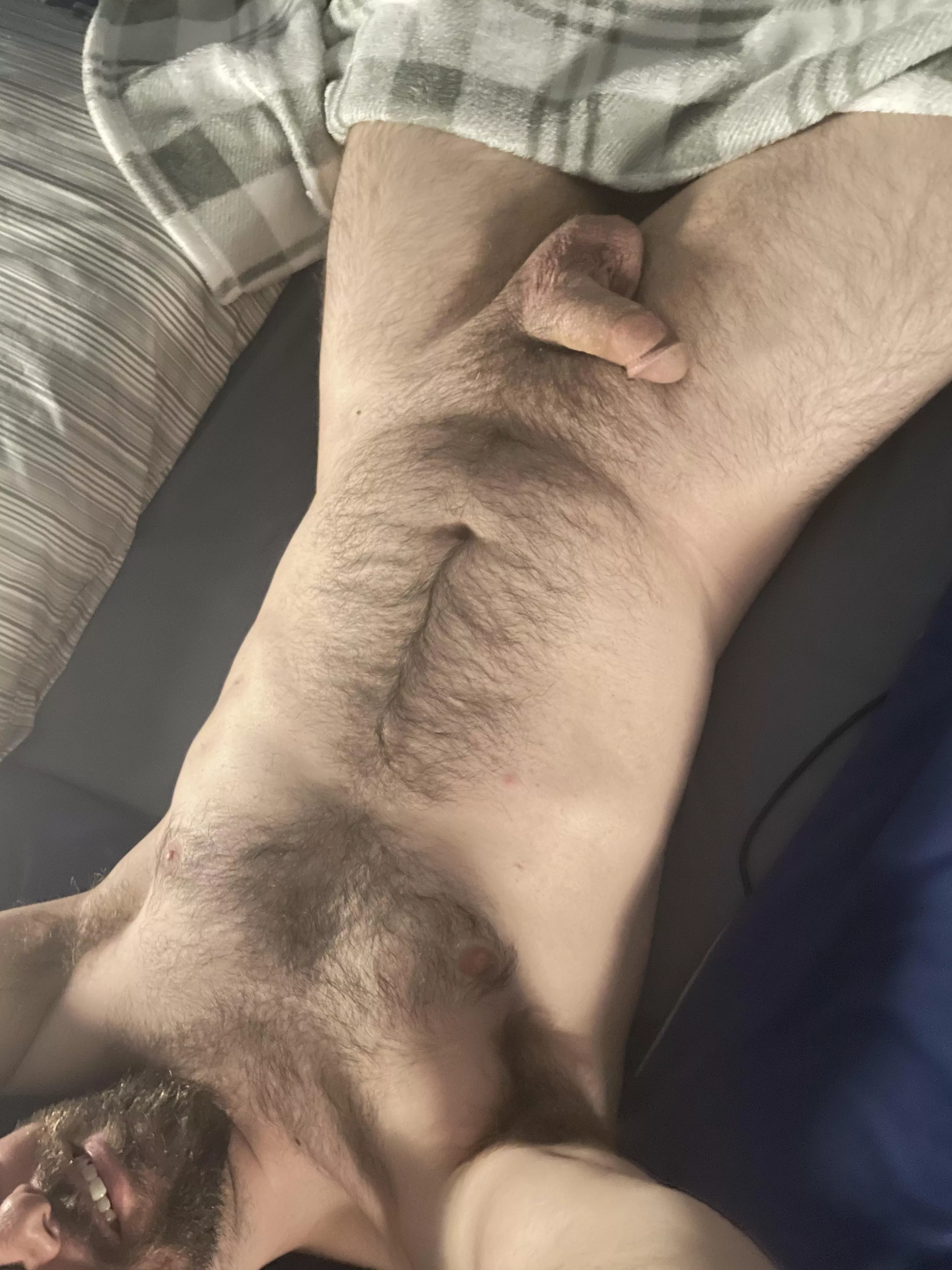 Let’s trade bellyrubs