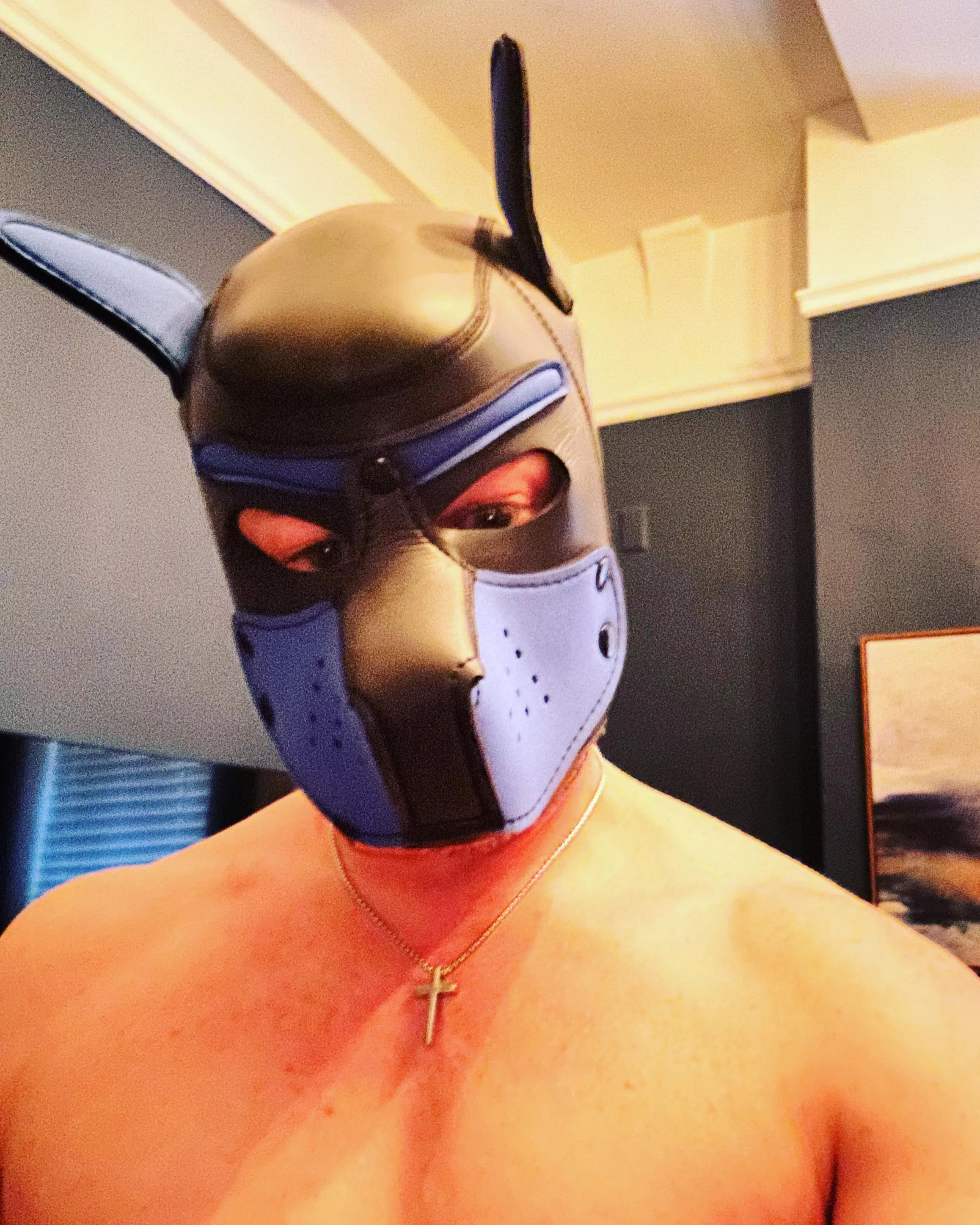 Pup’s Ready for Easter Weekend