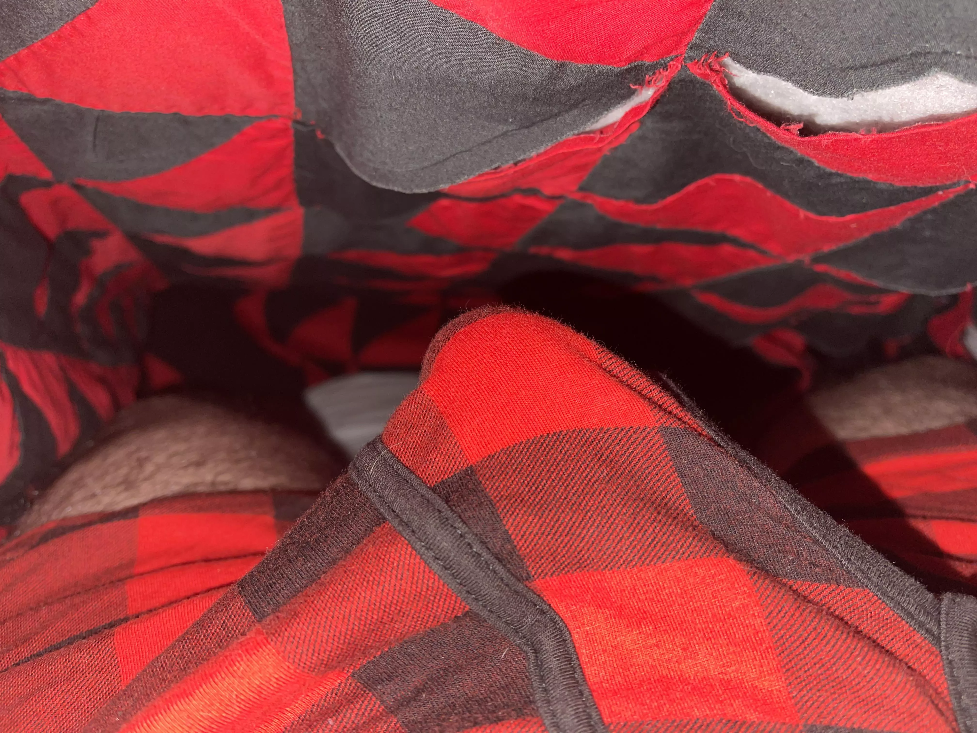 Quick photo shoot under the sheets..