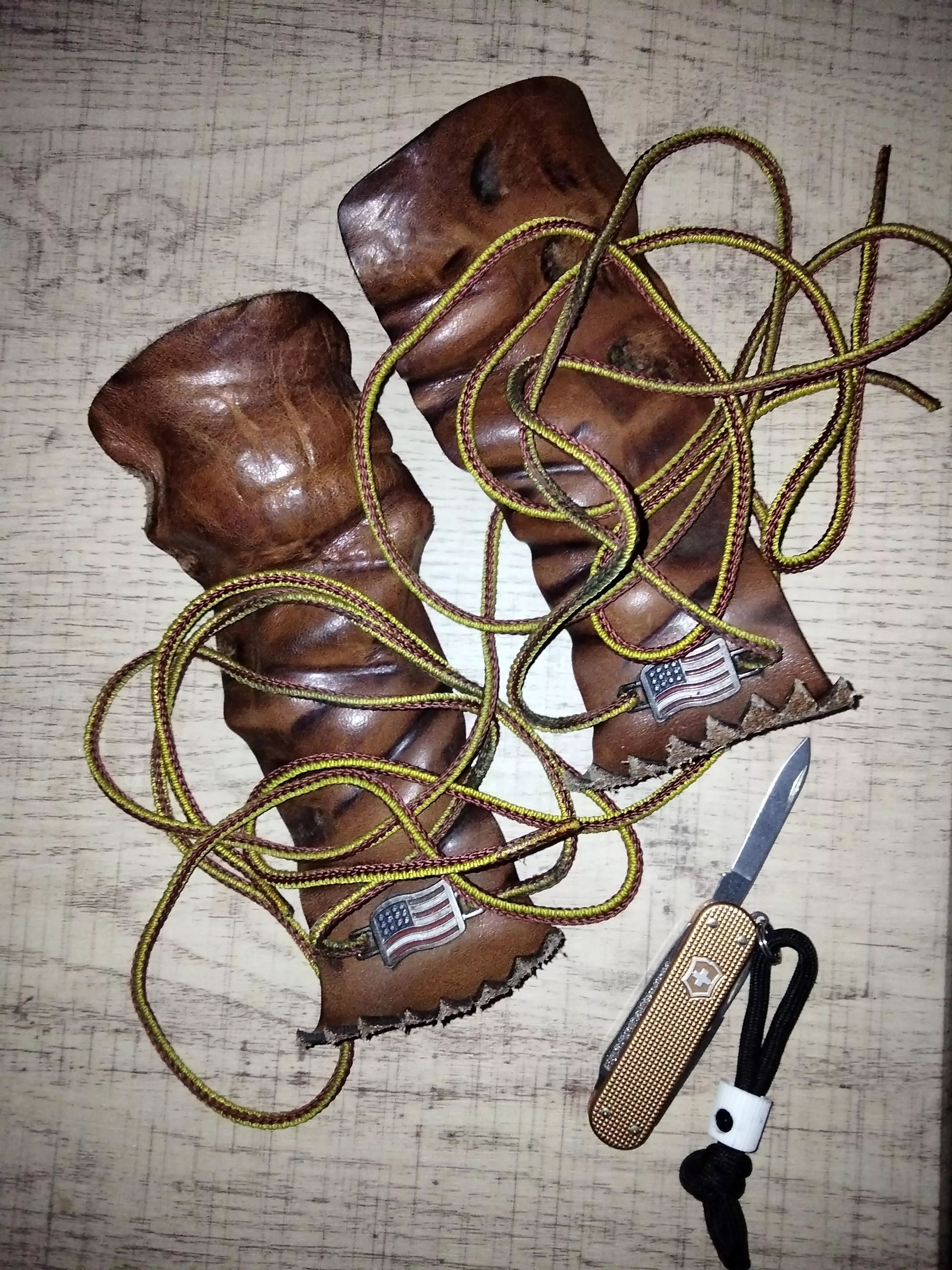 Rose anvil kilties after 5 months.