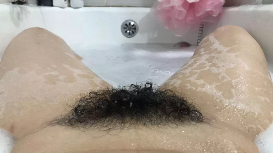 Should I be trimming down my bush?