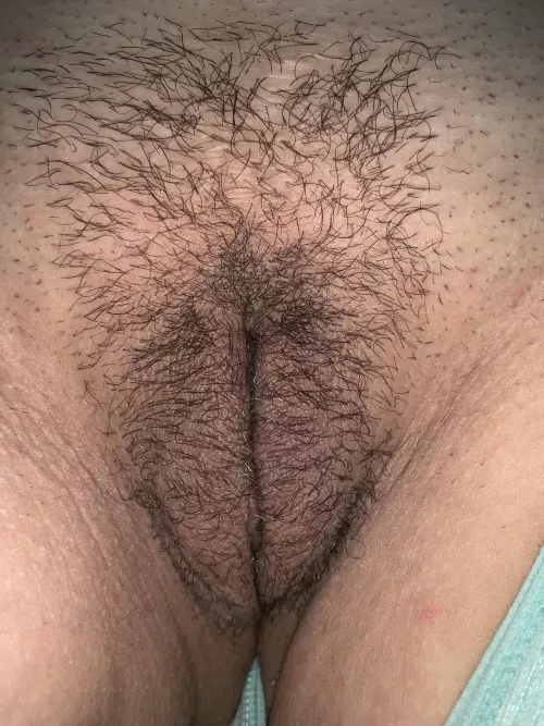 Trade wife pussy pics anyone?