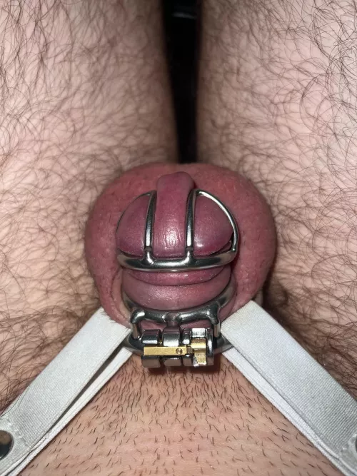 First metal cage🔒