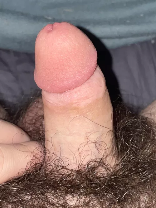 Flacid penis hot or not? 😉