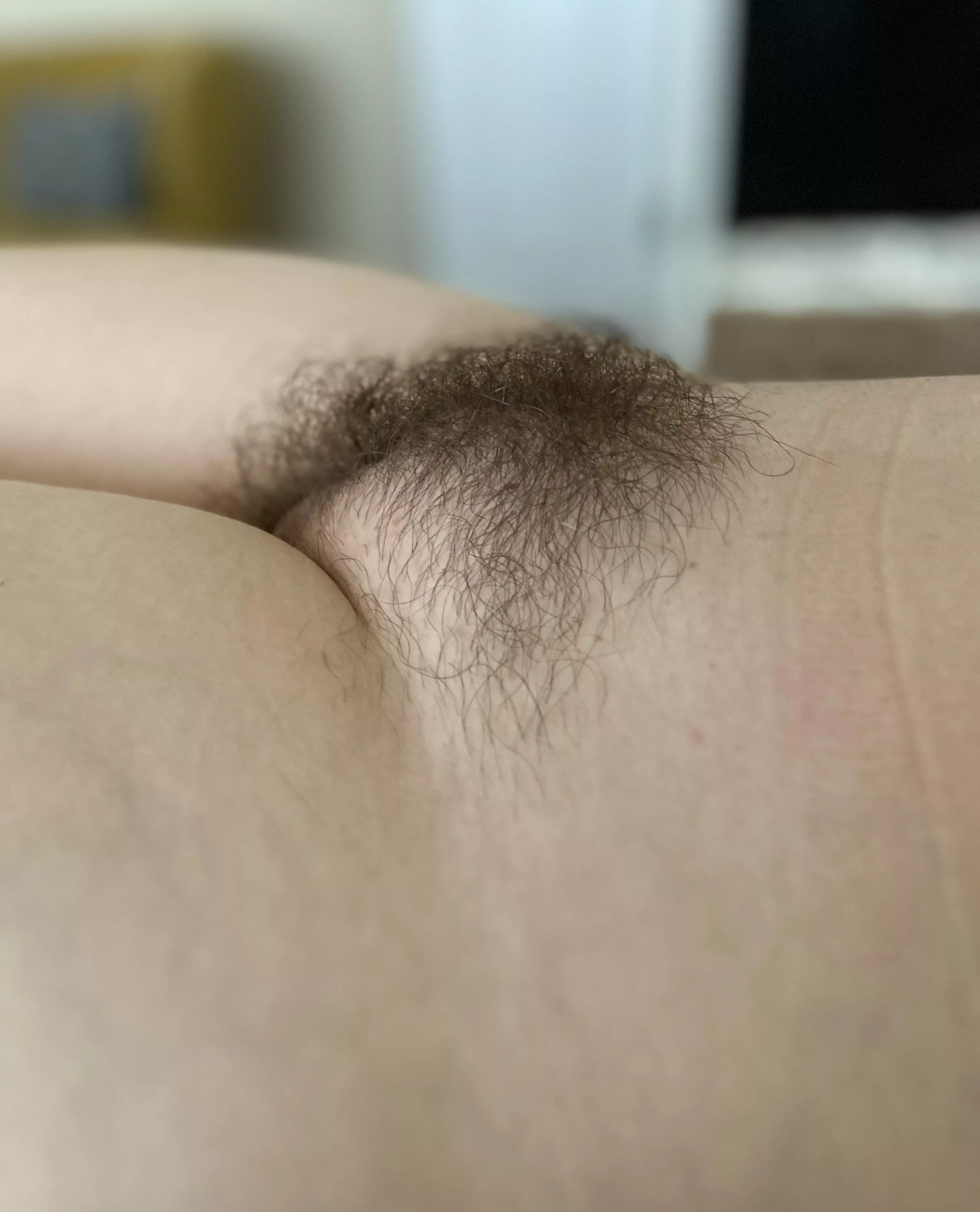 Hairy mound
