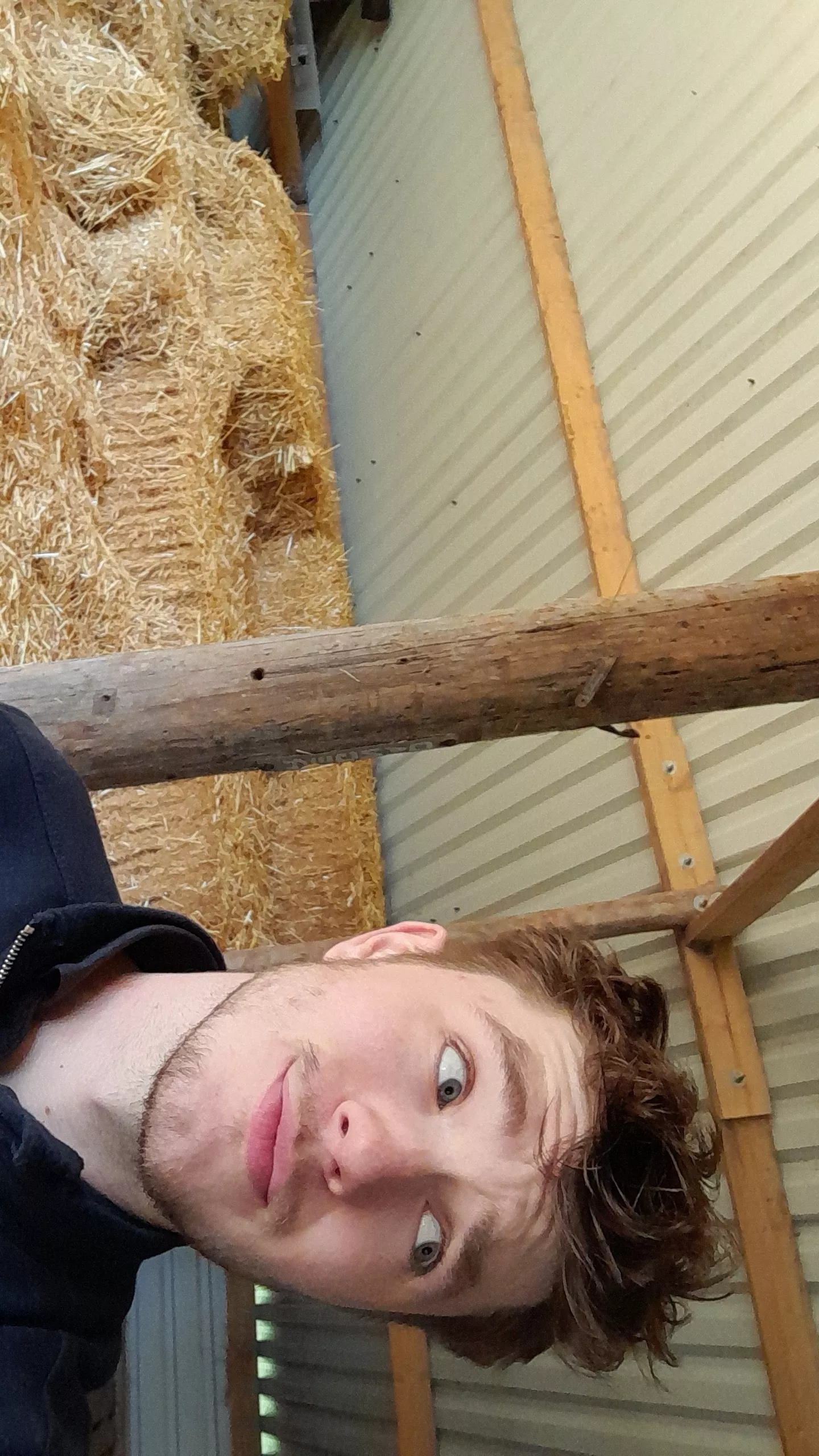 Hiding from all the people on the farm so I can blast music 😆