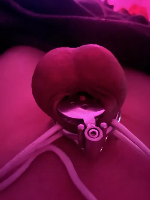 I finally made my flat cage fit!!