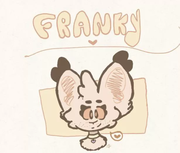 My fursona franky :)