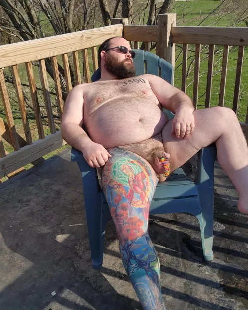 Sunning in the back yard