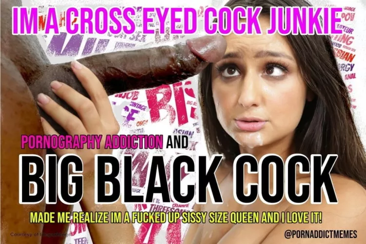 the best sissies deserve the best dicks🥰