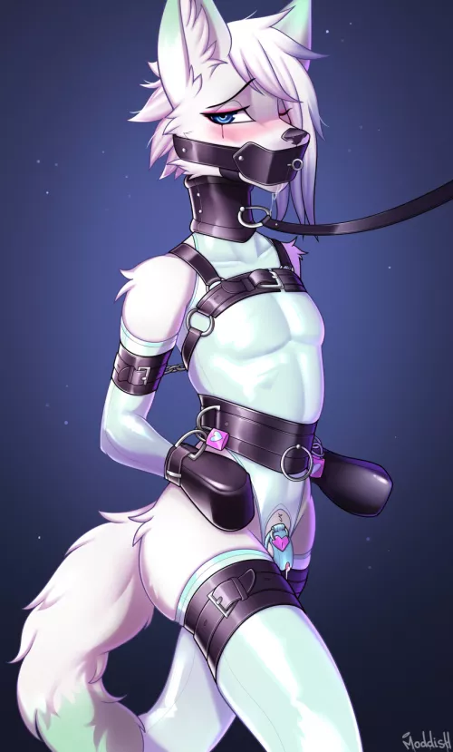 The correct way and clothes for a slut (Moddish)