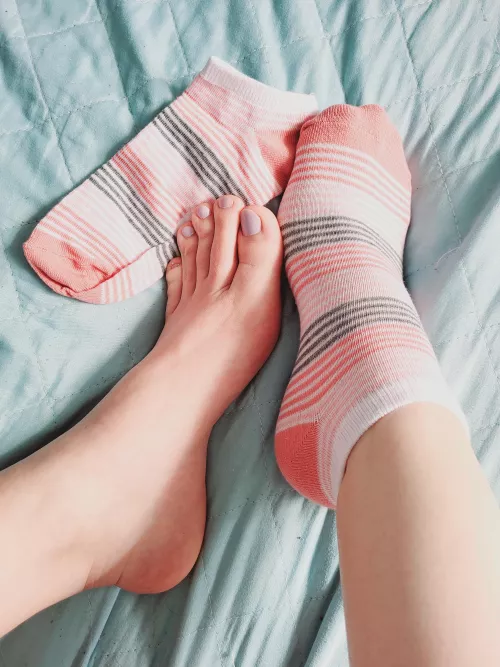 They may seem cute, but they're wild beasts.