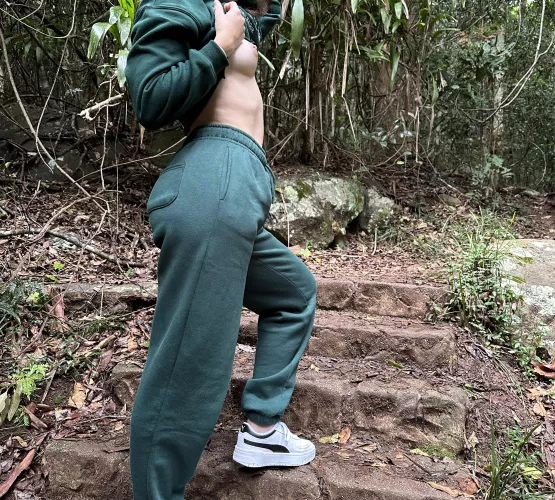 Tits out in the forest