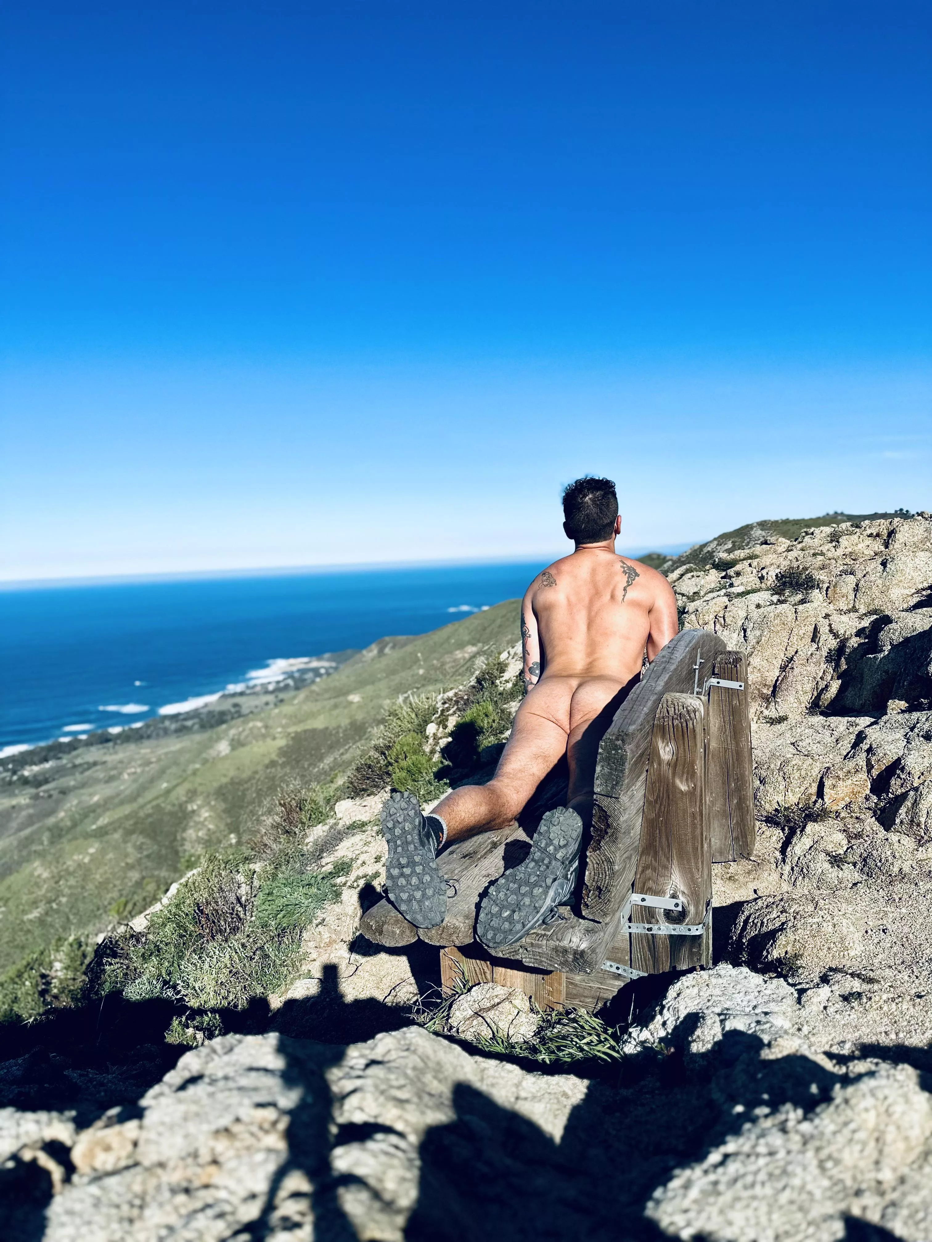 Urdhvamukhasvanasana - Upward Dog